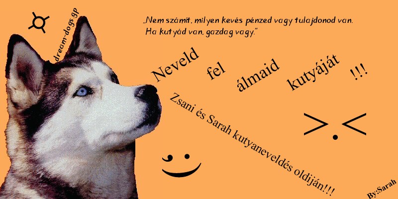 ~~~Dream dogs-Avagy Zsani s Sarah kutyanevelds oldija!~~~